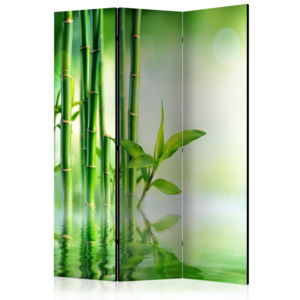 Paraván - Green Bamboo 135x172