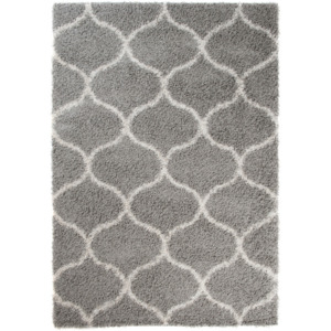Kusový koberec Shaggy Zaya sivý, Velikosti 80x150cm