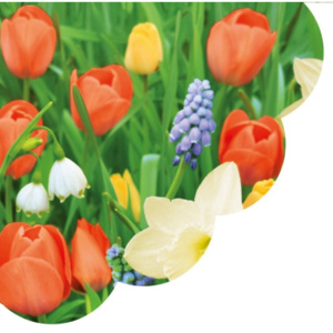 Obrúsky paw r tulips meadow