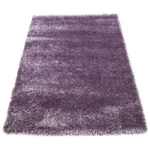 Kusový koberec Shaggy vlas 50 mm fialový 2, Velikosti 80x150cm