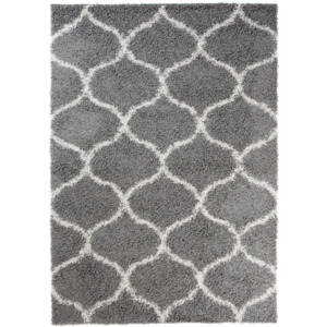 Kusový koberec Shaggy Zaya sivý 2, Velikosti 80x150cm
