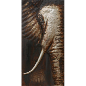 Kovový obraz - Slon, 75x150 cm