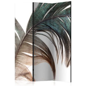 Paraván - Beautiful Feather 135x172