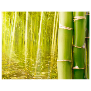 Fototapeta - Bambusový les II 200x154