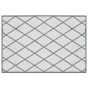 Sivá rohožka Zala Living Scale, 50 × 70 cm