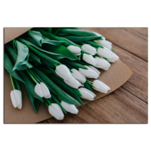 Biele tulipány C1526AO