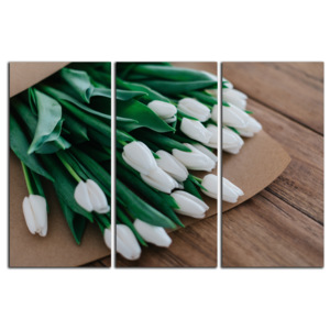 Biele tulipány C1526BO