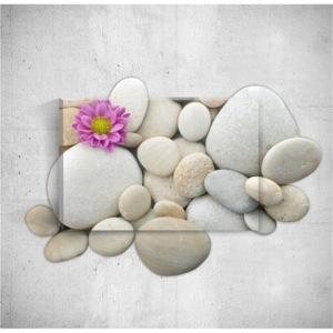 Nástenný 3D obraz Mosticx Pebbles With Flower, 40 × 60 cm