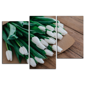 Biele tulipány C1526DO