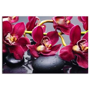 Bordové orchidey C4090AO