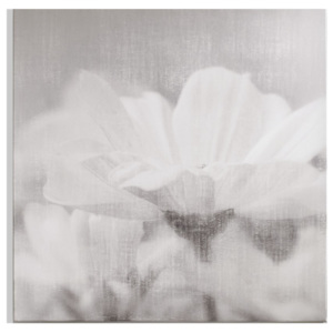 Obraz Graham & Brown Daisy Daydream, 70 × 70 cm