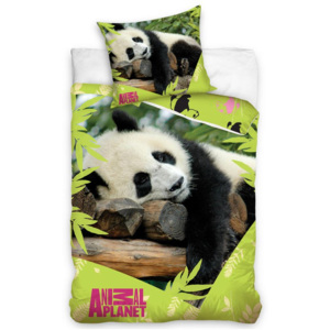 Detské posteľné obliečky Animal planet panda