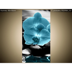 Roleta s potlačou Tyrkysová orchidea a kamene 80x150cm FR2398A_1LV