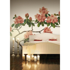 Vliesová tapeta Mr Perswall - Pink Blossom 360 x 265 cm