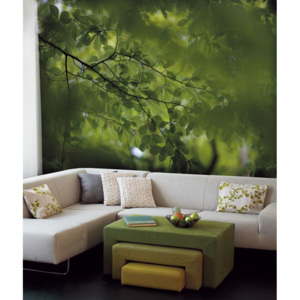 Vliesová tapeta Mr Perswall - Green Leaves 360 x 265 cm