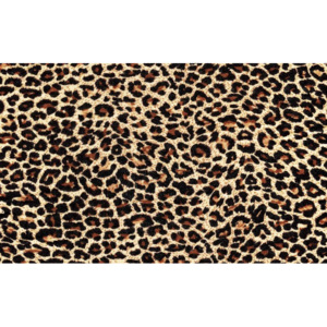 Fototapeta, Tapeta Leopard, (91 x 211 cm)