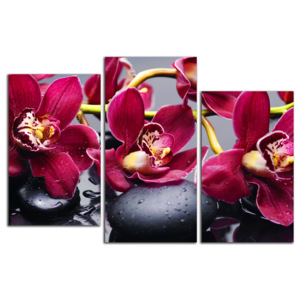 Bordové orchidey C4090DO