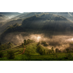 Umelecká fotografia Morning fog, Mihail Dulu