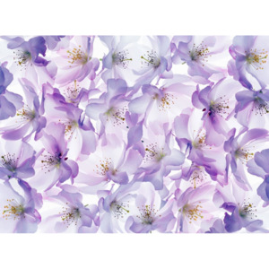 Vliesová tapeta Mr Perswall - Blossom 180 x 265 cm