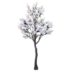 Rozkvitnutý strom Magnólia - 190*190*350