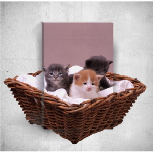 Nástenný 3D obraz Mosticx Kittens, 40 × 60 cm