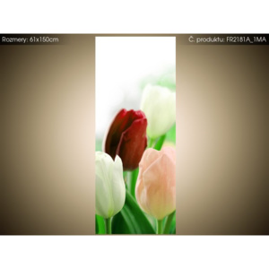 Roleta s potlačou Červené tulipány 61x150cm FR2181A_1MA