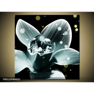 Sklenené obrazy 40x40cm (F005123F4040GD)