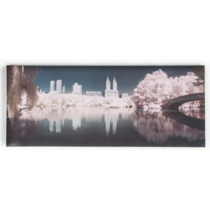 Obraz Graham & Brown Central Park, 100 × 40 cm