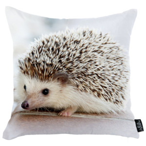 Obliečka na vankúš Apolena Hedgehog, 45 × 45 cm