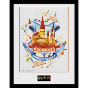 Rámovaný Obraz - Harry Potter - Hogwarts Paint