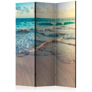 Paraván - Beach in Punta Cana [Room Dividers] 135x172