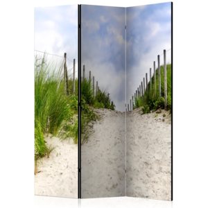 Paraván - Path to the Sea [Room Dividers] 135x172