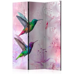 Paraván - Colourful Hummingbirds [Room Dividers] 135x172