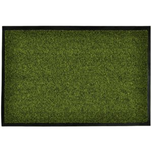 Hanse Home Collection koberce Kusová rohožka Green & Clean 101751 - 60x80 cm
