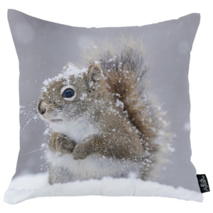Obliečka na vankúš Apolena Squirrel, 45 × 45 cm