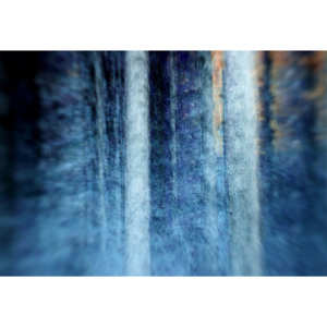 Fototapeta, Tapeta The Forest, (104 x 70.5 cm)