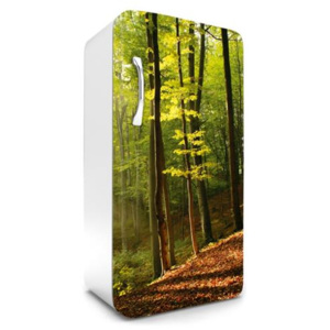 Samolepiace tapety na chladničku, rozmer 120 cm x 65 cm, les na jeseň, DIMEX FR-120-028