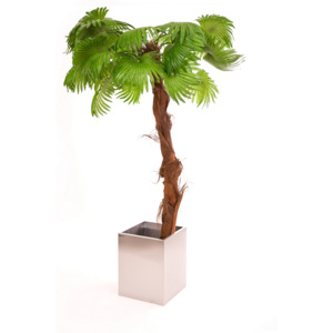 Umelá Washingtonská palma 250cm