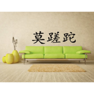 Samolepky na stenu - Čínske znaky '' Carpe diem '' - 30 x 120 cm - 005