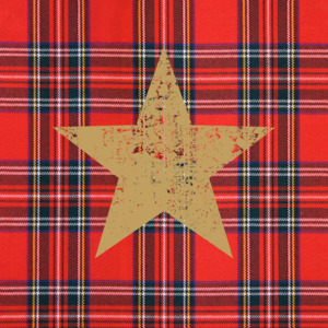 Balenie 10 papierových obrúskov s vianočným motívom PPD Tartan Star Red
