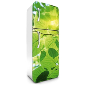 Samolepiace tapety na chladničku, rozmer 180 cm x 65 cm, zelené listy, DIMEX FR-180-009