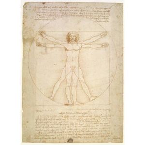 Reprodukcia, Obraz - The Proportions of the human figure (after Vitruvius), c.1492, Leonardo da Vinci