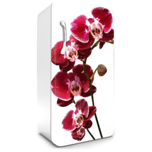 Samolepiace tapety na chladničku, rozmer 120 cm x 65 cm, orchidea, DIMEX FR-120-014