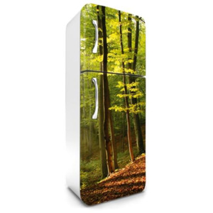Samolepiace tapety na chladničku, rozmer 180 cm x 65 cm, les na jeseň, DIMEX FR-180-028