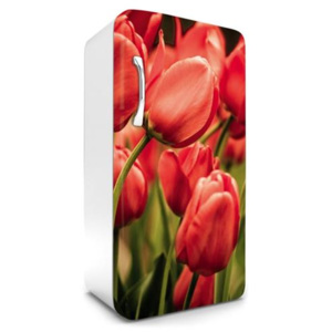 Samolepiace tapety na chladničku, rozmer 120 cm x 65 cm, tulipány, DIMEX FR-120-012