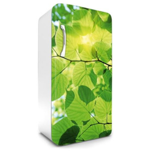 Samolepiace tapety na chladničku, rozmer 120 cm x 65 cm, zelené listy, DIMEX FR-120-009