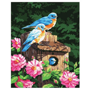 DrawJoy Namaluj si obraz "Vtáky" 50x40 cm