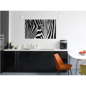Nalepky na stenu - Zebra - 60 x 100 cm - 085