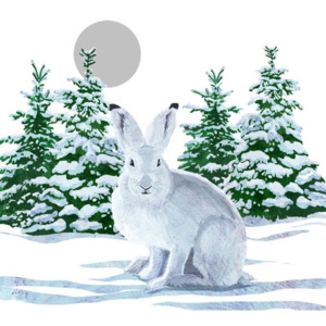 Balenie 10 papierových obrúskov s vianočným motívom PPD Snow Rabbit