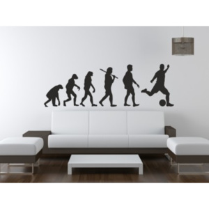 Samolepky na stenu - Evolúcia futbal - 40 x 120 cm - 225